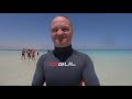 SHARM EL SHEIKH-EGYPT 4K (parrotel beach resort,tiran island ,mohamed island and Cairo )