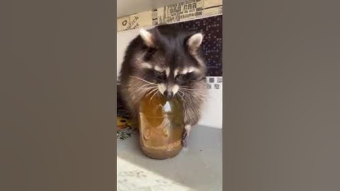 золотой ребенок