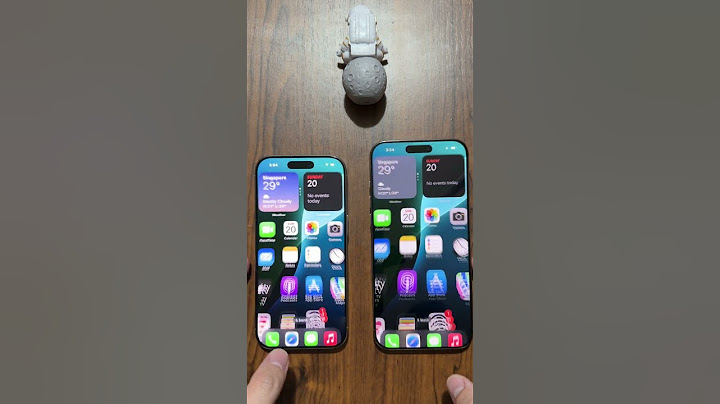 iPhone 16 Pro vs iPhone 16 Pro Max