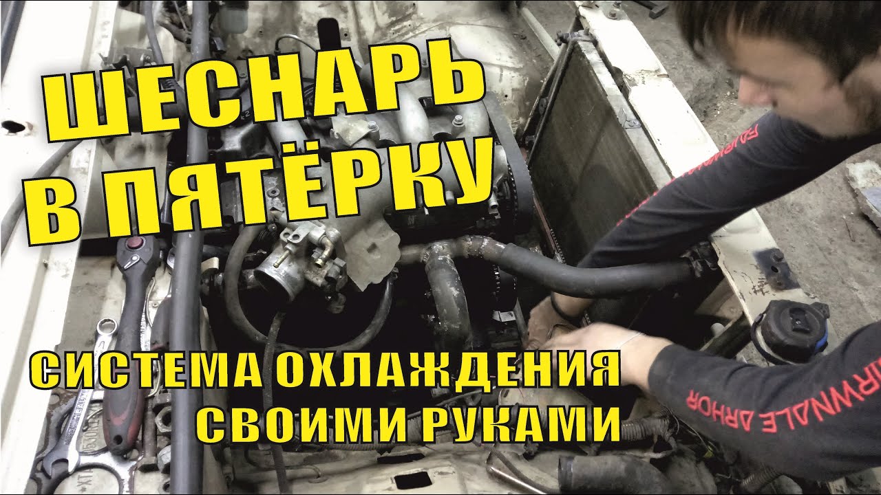 Шеснарь в волгу