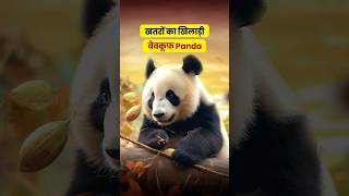 खतरों का खिलाड़ी बेवकूफ Panda😎#animals #shorts #ytshorts