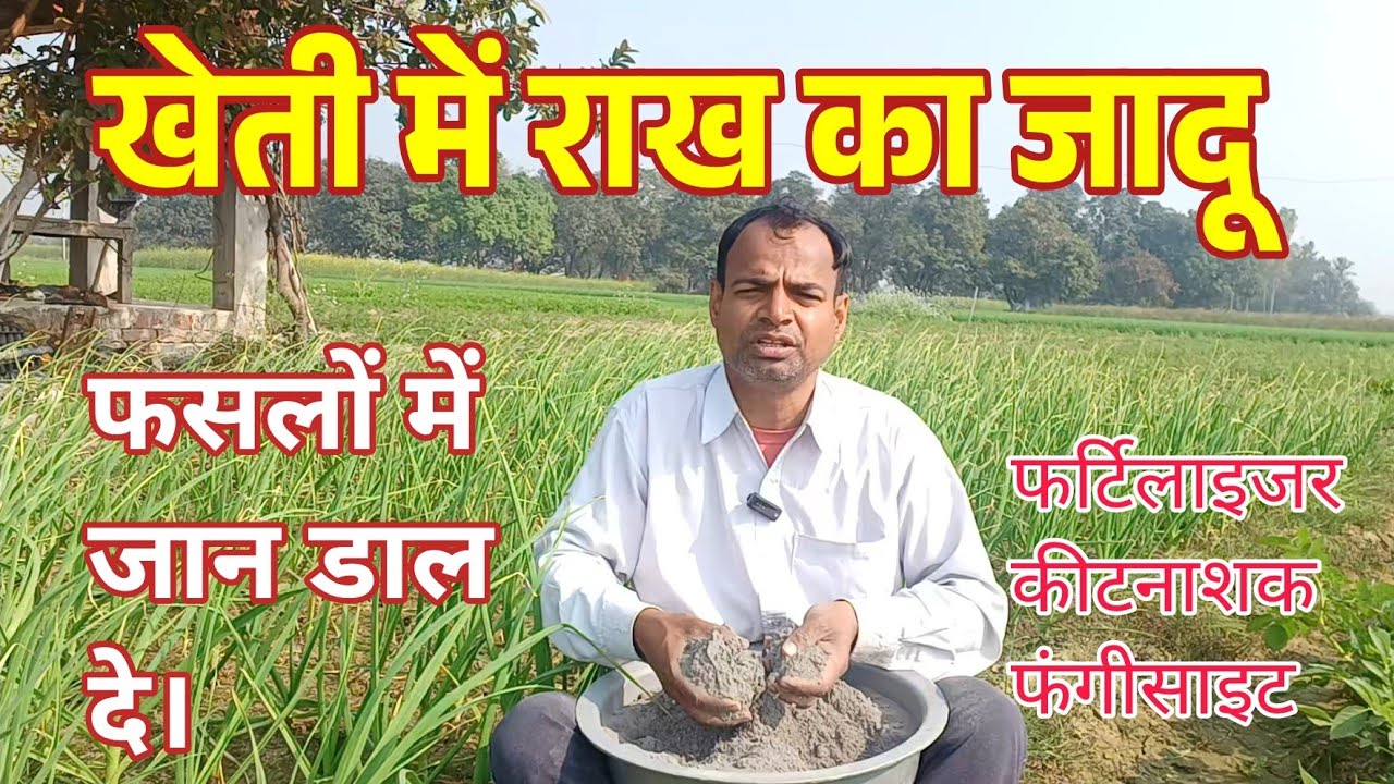 राख का फसलों, बागवानी और गमलों में प्रयोग 