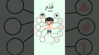 Vücudun Bölümleri #arapça #arapçakonuşma #arabic #arapçatürkçe