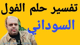 تفسير حلم الفول السوداني في المنام لابن سيرين | الفول السوداني في الحلم | محمود أحمد منصور