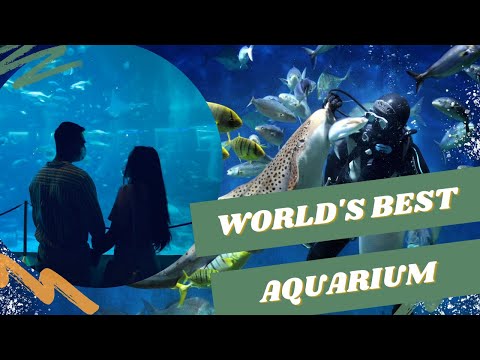 SEA Aquarium Singapore