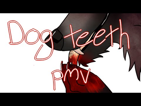 Video: Puppy Teeth: Bilməli Olduğunuz Hər şey