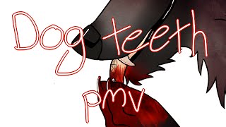 Dog Teeth Pmv Read Description Old