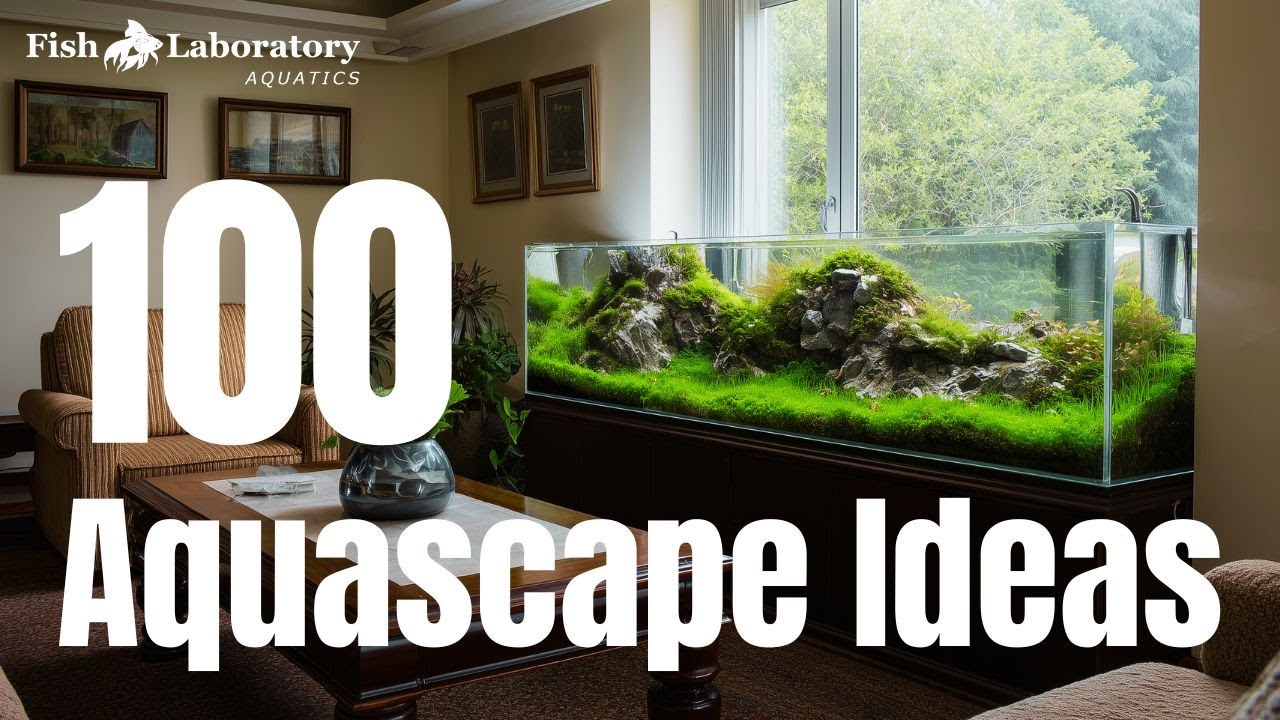 Aquascaping for Living Rooms: Stunning Ideas to Transform Your Space