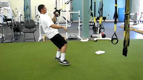 TRX Single arm row with Rotation