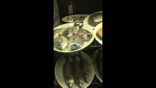 Balıkçızade Keşan Açıldı