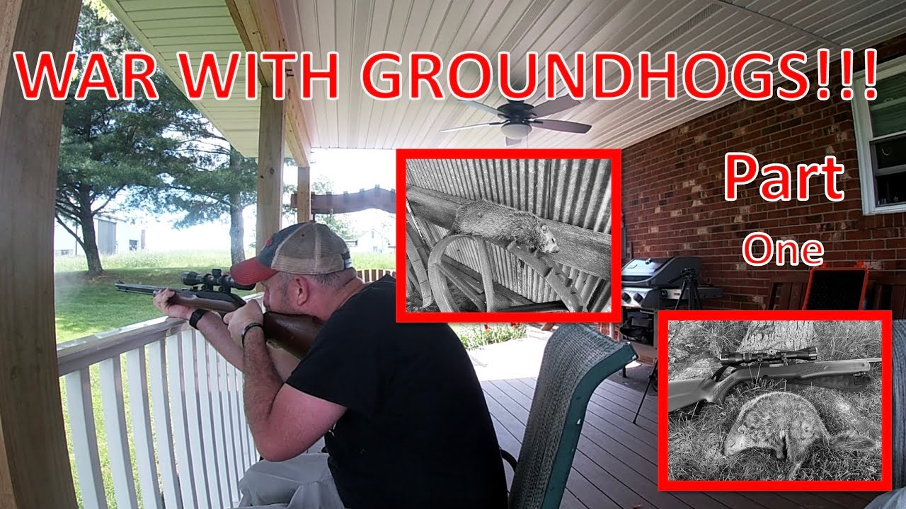 My WAR with GROUNDHOGS Part 1 Pest Control YouTube