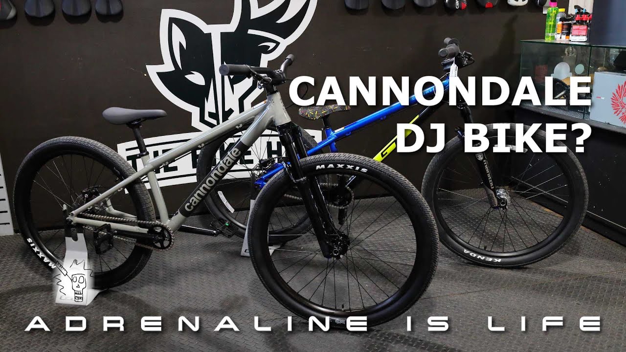 A Dirt Jump Bike You Probably Never Heard of The Cannondale Dave