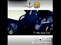 حالة واتس جميلة مهرجان شمس المجرة