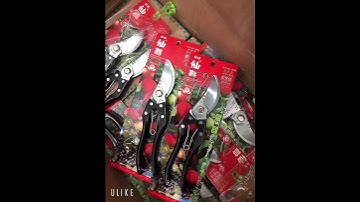 Kéo cắt cành dụng cụ bon sai cây cảnh,làm vườn