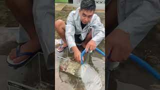 Lagi Gabut Nemu Aquarium Di Tempat Sampah