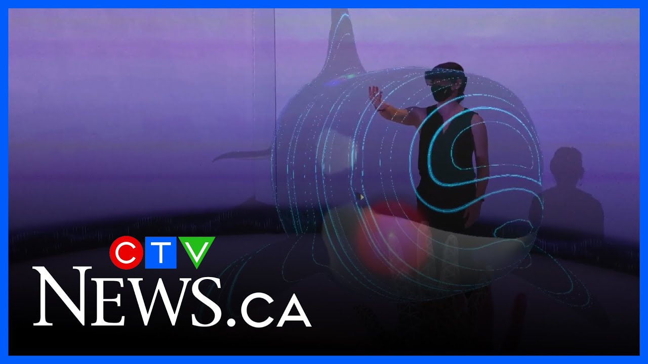 Augmented reality exhibit brings people closer to orcas