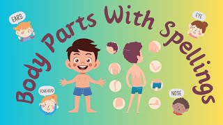 Body parts with spellings for kids | Learn parts of body | Spelling | Vocabulary #abcd #body screenshot 5
