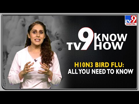 中国からのH10N3鳥インフルエンザ：あなたが知る必要があるすべて