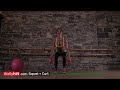 Squat And Curl -TheDailyHiit