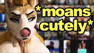 Furry Embarrases Themselves on Zoom Class