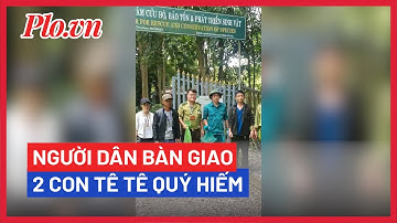 Người dân bàn giao 2 con tê tê quý hiếm sau khi tình cờ phát hiện - PLO