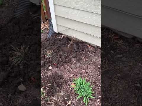 Sump Pump Cracked