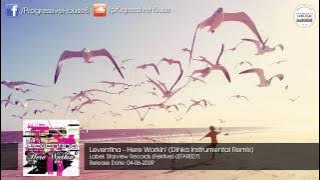 Leventina - Here Workin' (Dinka Instrumental Remix) [Starview Records (Fektive)]