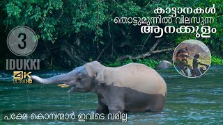 Anakulam - The Land of Wild Elephants | Mankulam, Idukki Part 3
