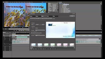 3D Training with the 3DGuy: Edius Bluray 3D