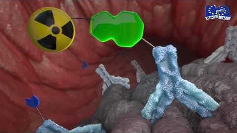 Click-It: Pre-Targeted Imaging