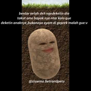 Ccp betrand peto 2020