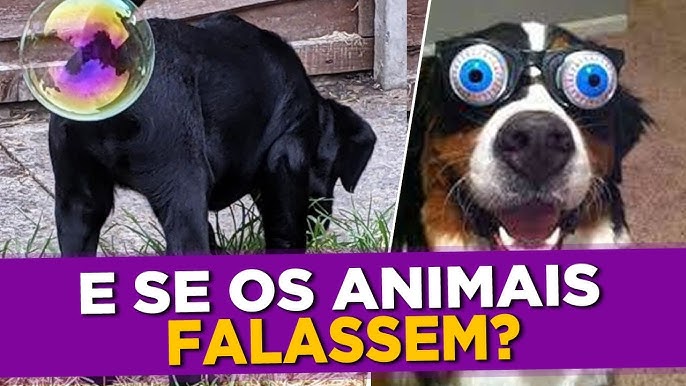 TENTE NAO RIR! - ANIMAIS ENGRAÇADOS QUE FALAM - DUBLAGENS DE ANIMAIS  FALANDO #OSMARTINEZ 