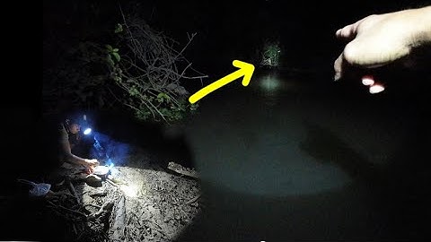 24h Câu Cá Gặp M.A Ghẹo Vừa Chạng Vạng Tối 😣😣😣