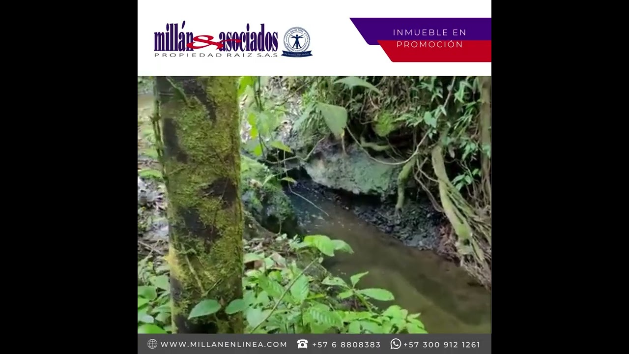 CASA EN VENTA CIRCASIA PALMAS DE GALICIA CONDOMINIO SAN MIGUEL ARMENIA COD. 279058588