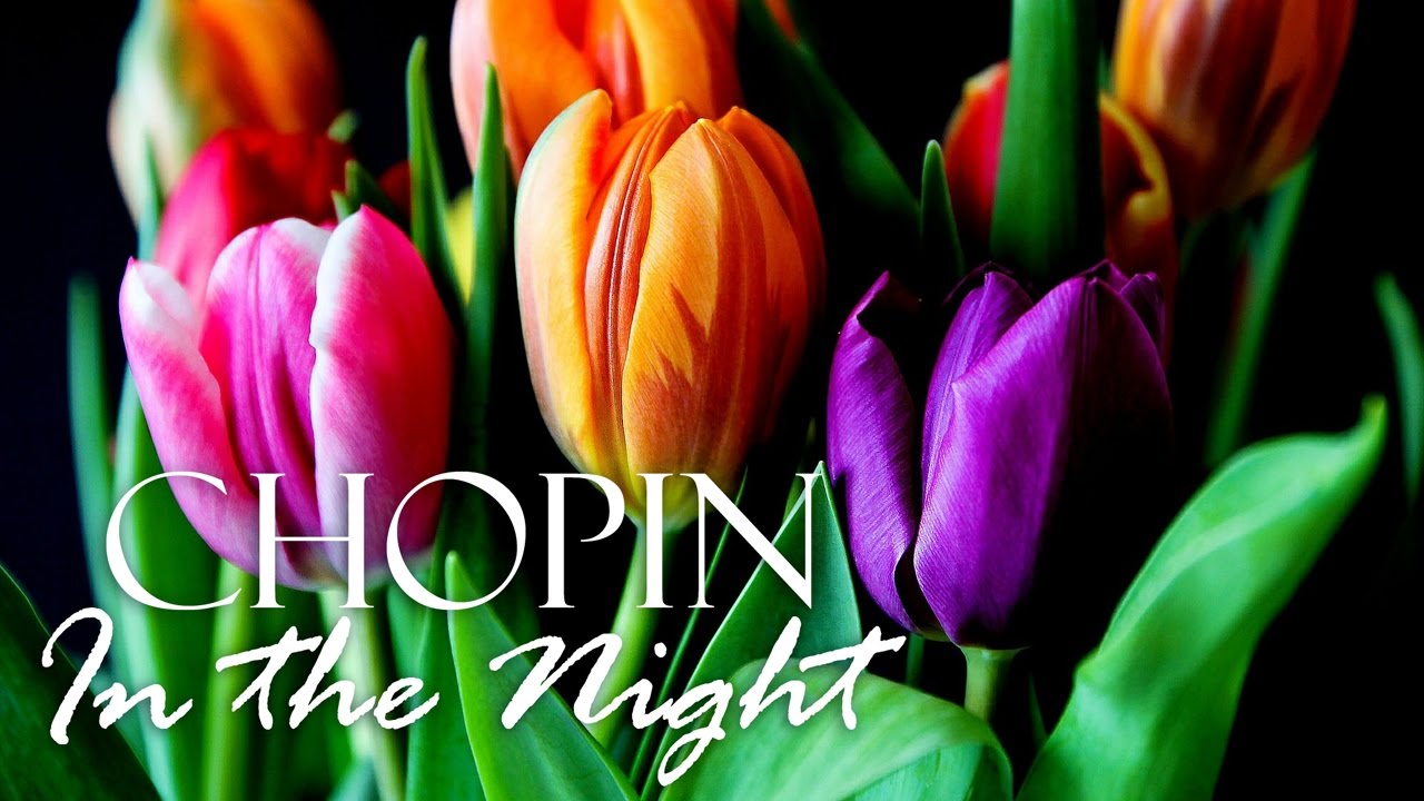 Chopin - Nocturne Op. 62 No. 2 - 1 HOUR - Classical Piano Music: Reading Studying Concentration classical music concert