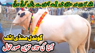 Today Gondal Mandi Attock Latest Update 18-07-2021 || Mandi Mein Rate Kafi Zyada || Pk Mandi