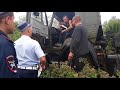 Пьяный водитель грузовика повредил три дома в селе в Липецкой области