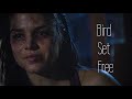 Octavia blake  bird set free