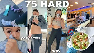 My first weeks of doing 75 HARD… starting weight, meal prep, workouts + results!