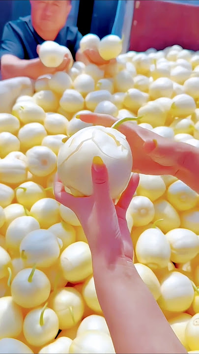 chinese melon # sweet and juicy