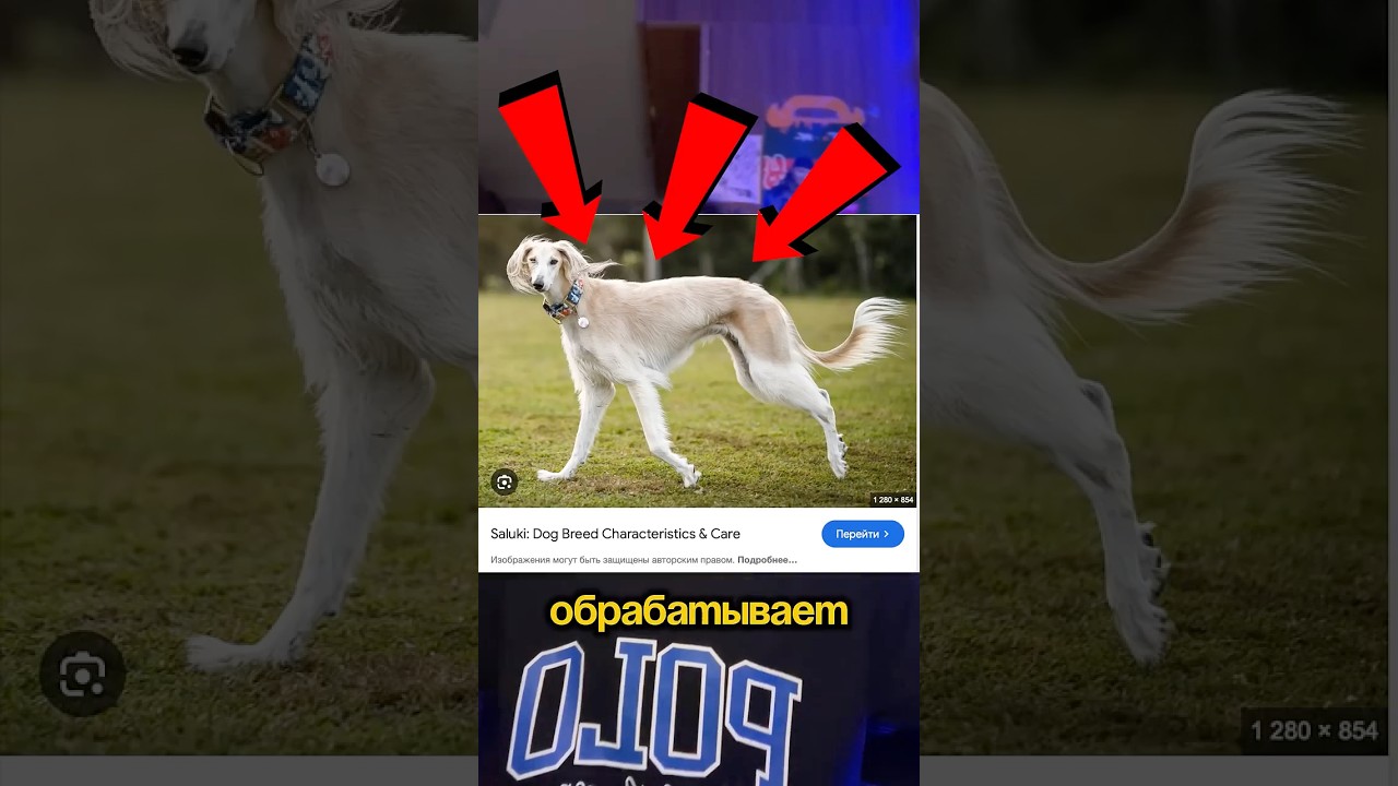 ОБРАБОТКА В СТИЛЕ SALUKI | СВЕДЕНИЕ ВОКАЛА + ПРЕСЕТ  