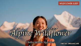 Tibetan Alpine Wildflower Sleep Music | Meadow Renewal | Tibetan Dreamscape