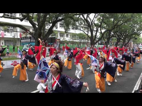 夢源風人（よさこい祭り2015全国大会）追手筋