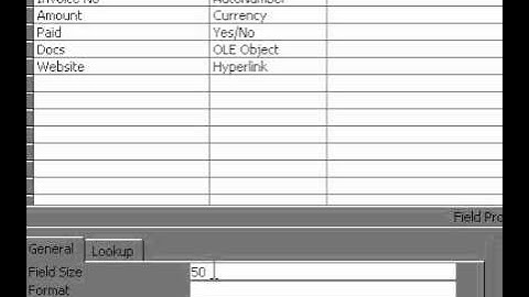Microsoft Office Access 2000 Text field resizing
