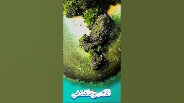سورة التوبة و؛؛كا..نك تسمعها لأ..و؛؛ل مر؛ة 🌺💮؛،❤️🏵️؛؛🌷؛ 💓💕بصوت الشيخ حمزة مد بوح💝..💞🌸💜..💐💔؛🧡