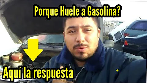 ¿La gasolina 88 dañará mi coche?