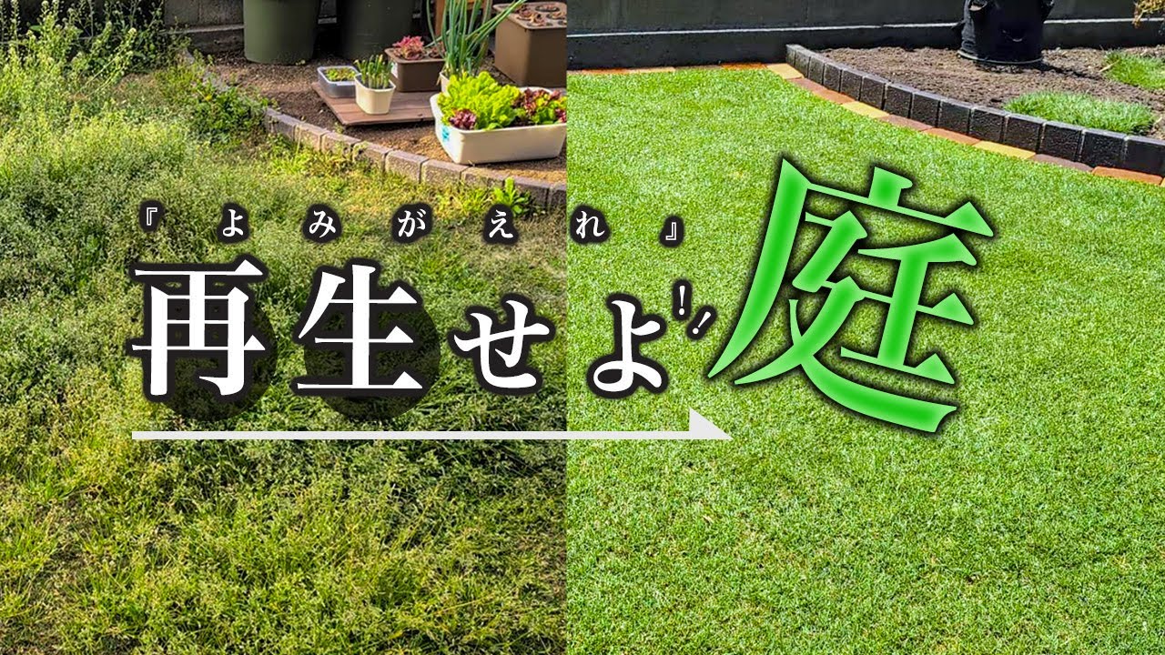 【奇跡の復活劇】庭を激変させた㊙テクニック！〜ド素人でもできた劇的ビフォーアフター〜
