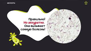 Мультимедийная презентация для детей "Микробы" - автор Казанцева Д.