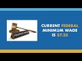 Intro to Common Labor Laws
