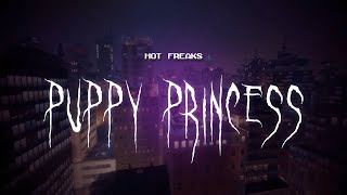 hot freaks - puppy princess [ sped up ] lyrics